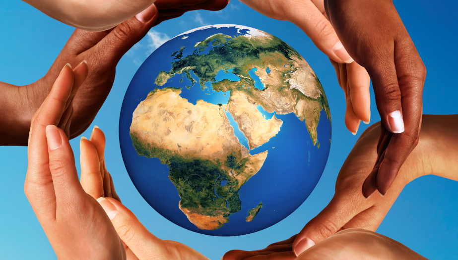Regolamento EUDR (deforestazione):  aggiornamenti